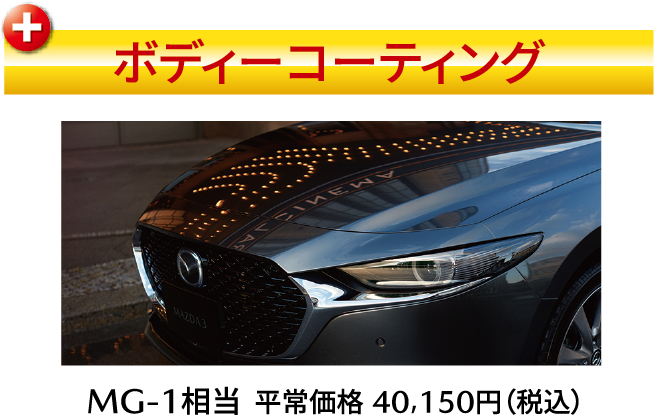 ボディーコーティング